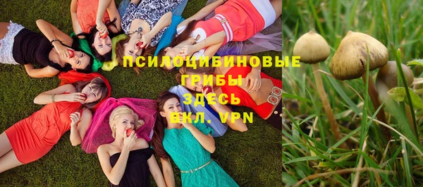 spice Кинешма