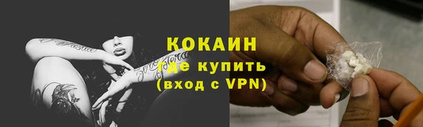 spice Кинешма