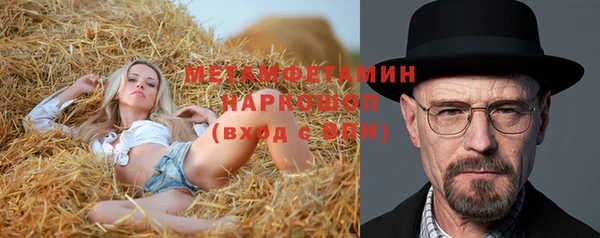 хмурый Каменка