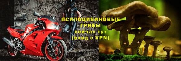 spice Кинешма