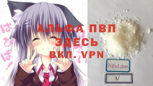 хмурый Каменка