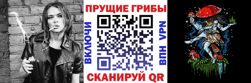 Галлюциногенные грибы MAGIC MUSHROOMS закладки Мещовск